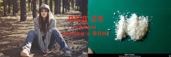 spice Богданович