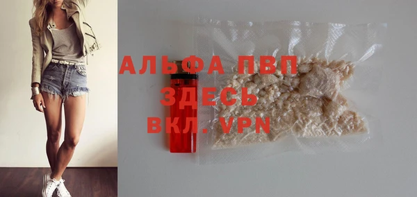 spice Богданович