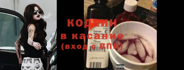 spice Богданович