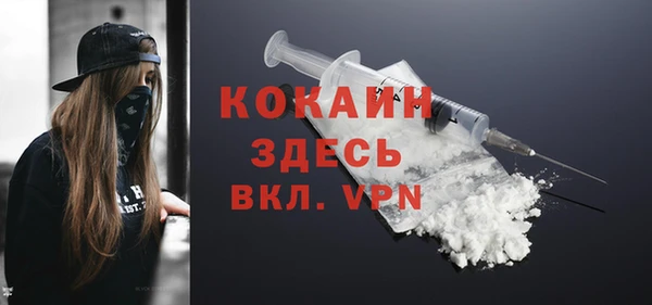 гидра Бородино