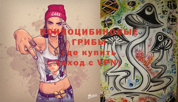 гидра Бородино