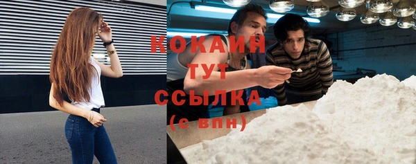 гидра Бородино