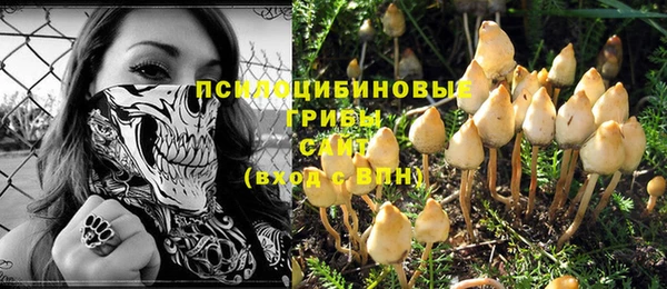 spice Богданович