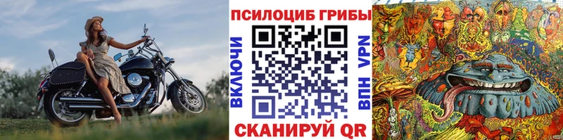 закладки  Афипский  Галлюциногенные грибы Magic Shrooms 